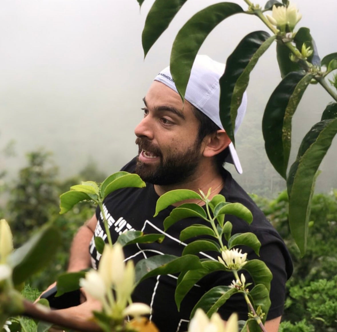 Salpicón Gesha