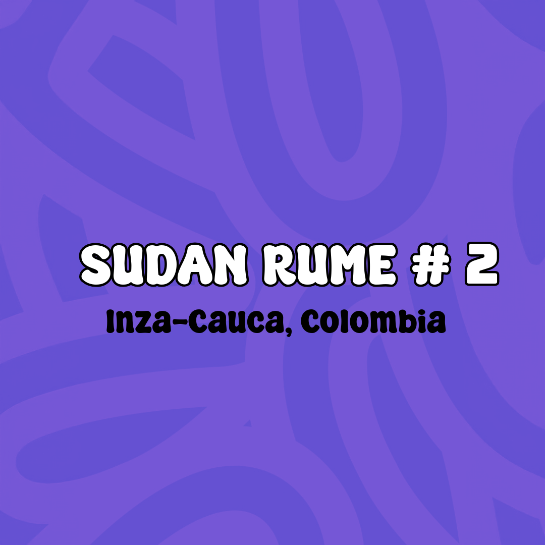 Sudan Rume # 2
