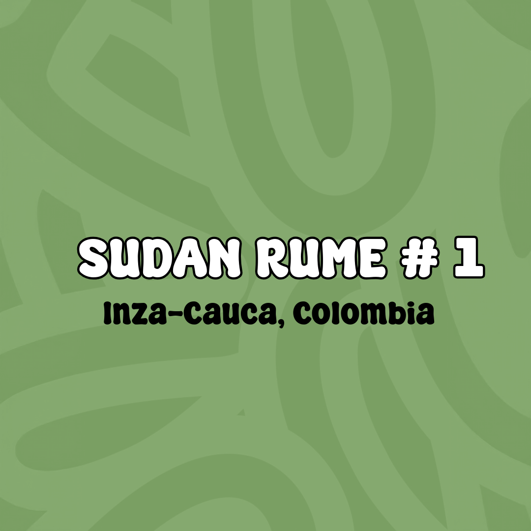 Sudan Rume #1