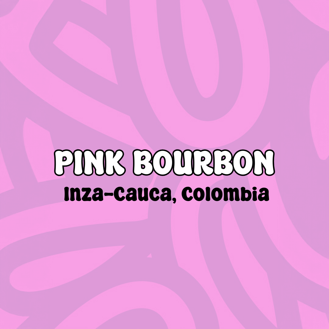 Pink Bourbon La Argelia