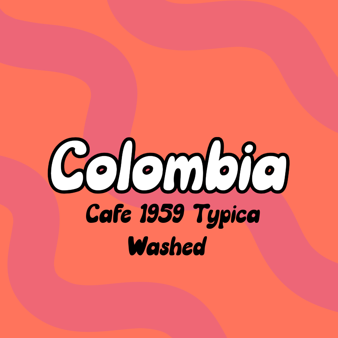 Cafe 1959 Typica Washed