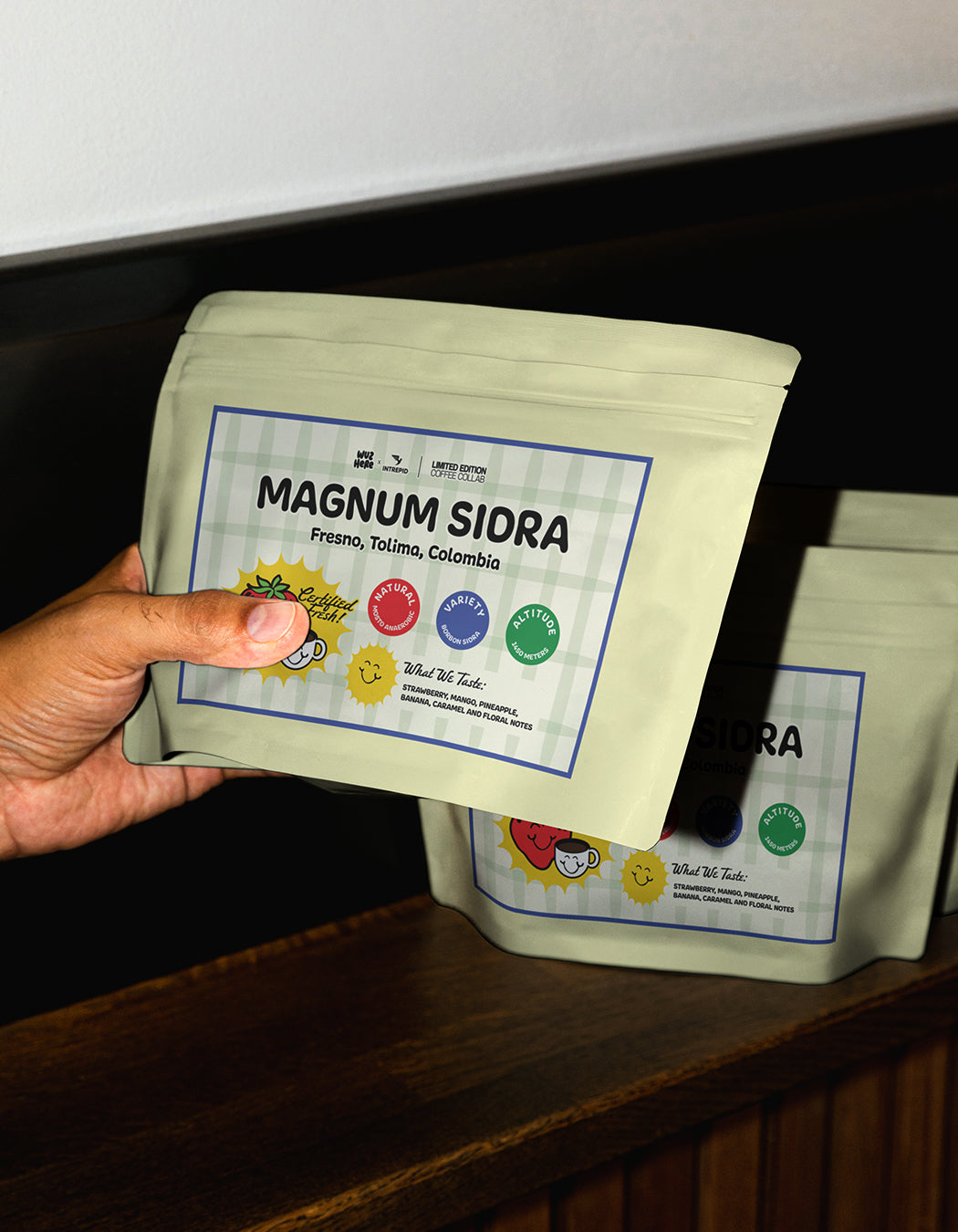 Magnum Sidra( Intrepid x Wuz Here Collab)
