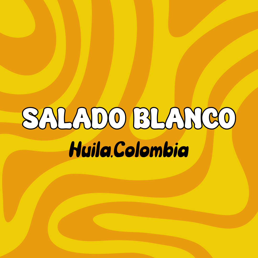 Salado Blanco