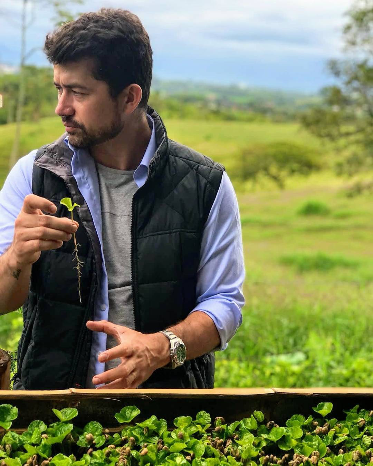 Pink Bourbon "Golden Washed"